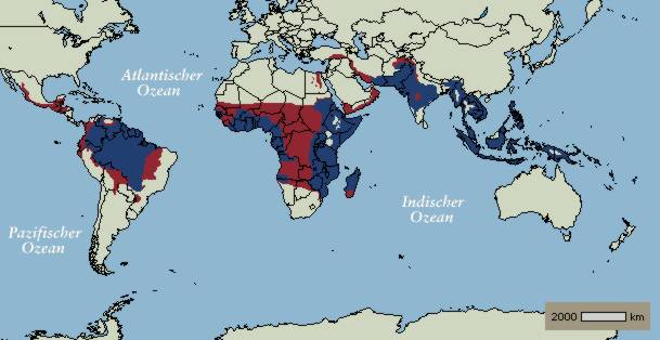 ROT Malria Gebiet   BLAU sehr gefhrtetes Malaria Gebiet