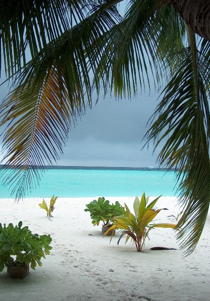 ../Images/Malediven_Ferien_2003_Okt_Nov_168A.jpg